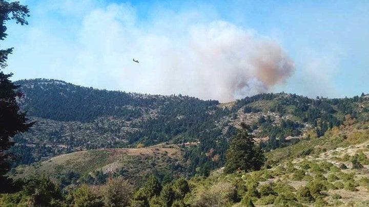 Ολονύχτια μάχη με τις φλόγες σε δασική έκταση στην Εύβοια